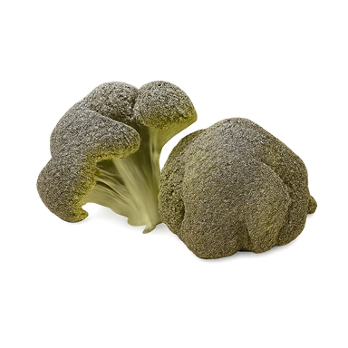 Brócoli