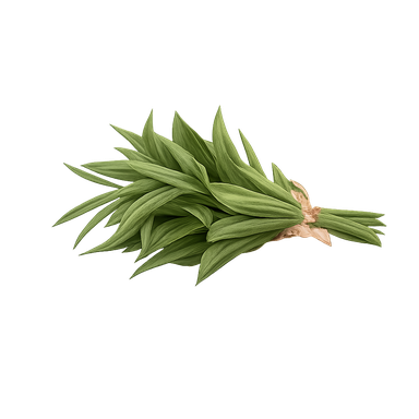 Cedrón por atado