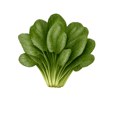 Espinaca