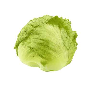 Lechuga americana